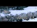 anuel AA keii (músic video)