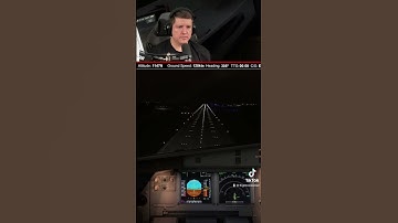 Night landing in Lviv, Ukraine on Airbus A320 | Vatsim ATC