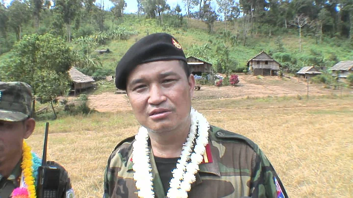 KNLA and DKBA reunification in the liberated ereas, Karen state Burma 2010 - DayDayNews