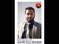 Learn The Recitation of Holy Quran |Dr. Muhammad Gul baqir| Lesson-3| Sorah Al-Baqarah verse 5-8