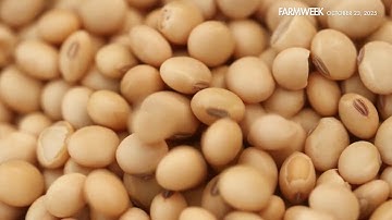 Farmweek | ENCORE: What are Soybeans? | October 23, 2025