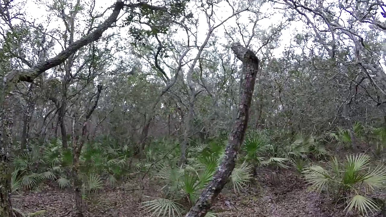 cemeteries in ontario Old Indian Mound in The Cove of The Withlacoochee
