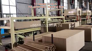 10 heads （2+4+4）full automatic particle board/MDF sanding line machine calibration, polishing