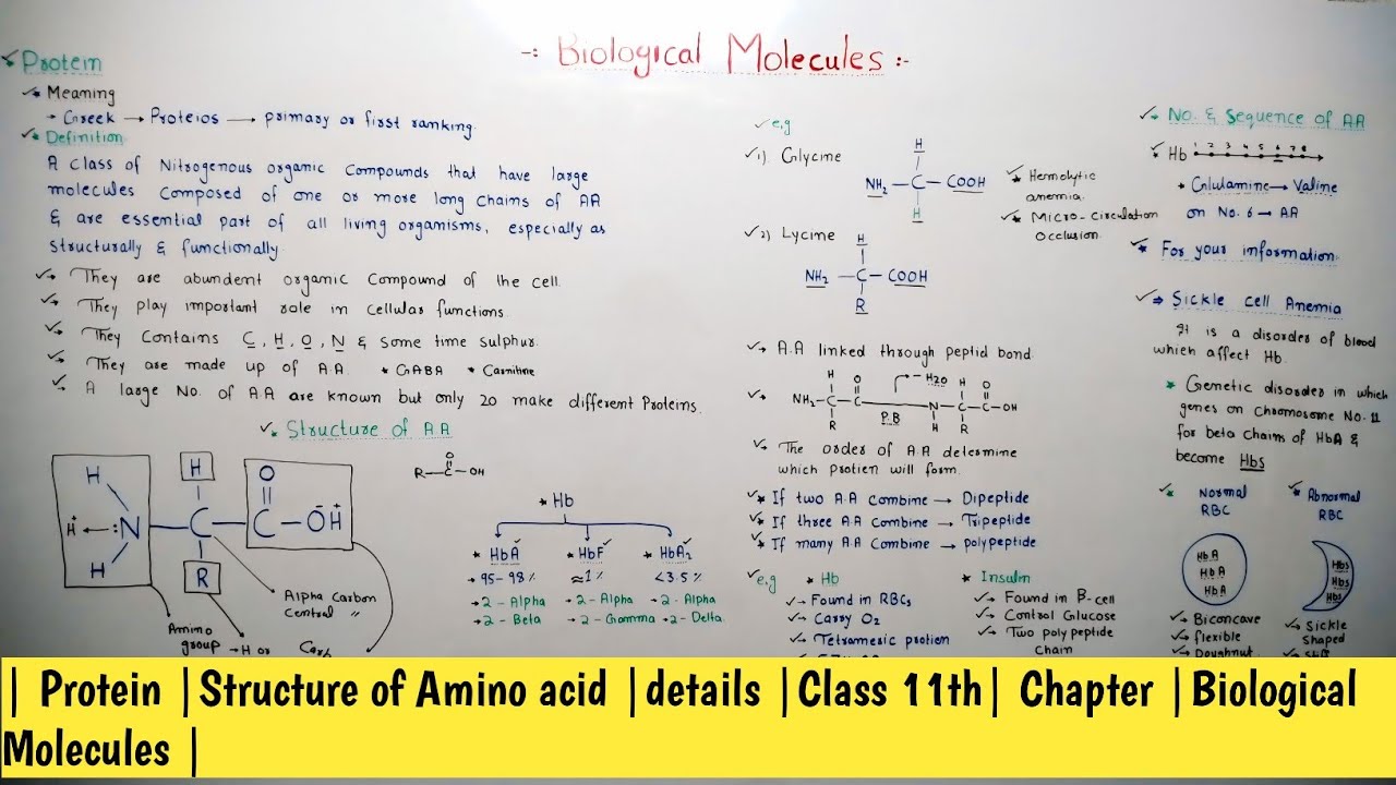 | Protein |Structure of Amino acid |details |Class 11th| Chapter |Biological Molecules |