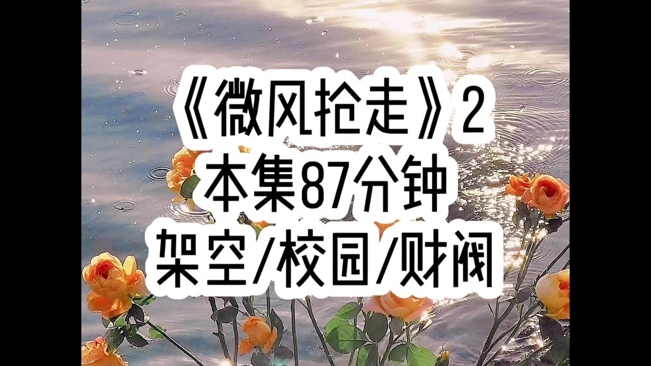 【微风抢走 第二集】看过弹幕的我知道，男主今晚会在娱乐城和朋友玩游戏…（后续：番茄小说搜索“微风抢走”，对应原文第68章）