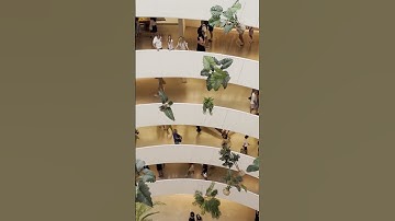 Architectural Gem #guggenheim #nyc #artmuseum #franklloydwright #rashidjohnson #contemporaryart #art