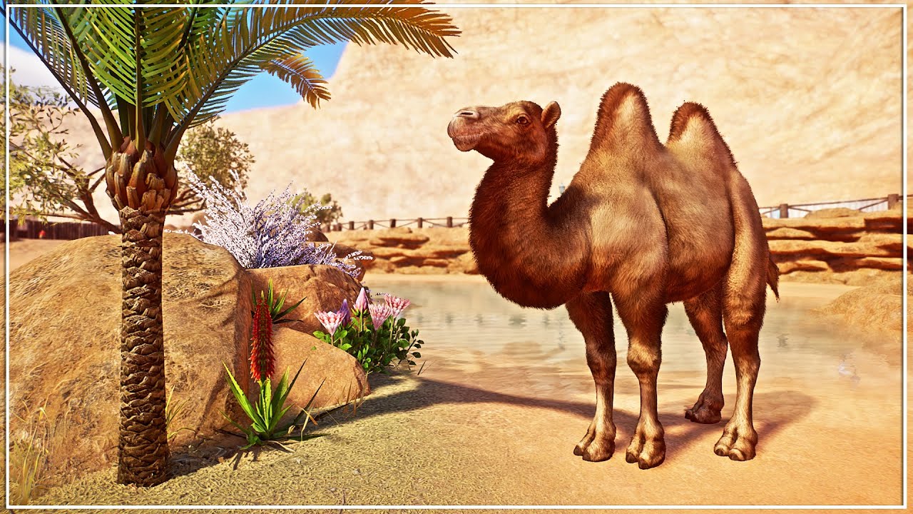 Building the ULTIMATE Desert Zoo in Planet Zoo Franchise Mode