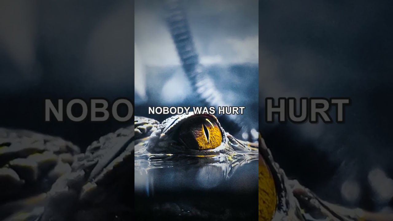 She Was Filming a Turtle. Then She Saw What Was Behind It