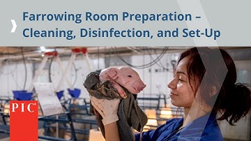 Farrowing Room Preparation – Cleaning, Disinfection and Set-Up | Pig Improvement Company