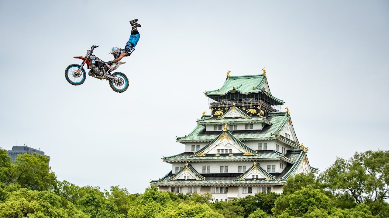 パンダキック お知らせ】『鉄拳8』×島根スサノオマジック コラボ“プリティビースト