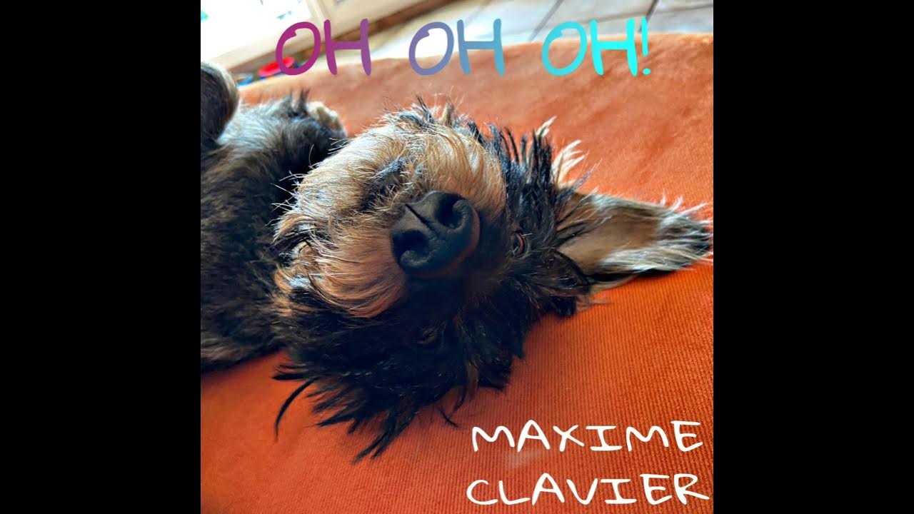 OH OH OH! MUSIQUE OFFICIELLE YouTube