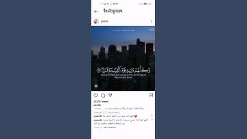 Video Downloader Pro - Status Saver