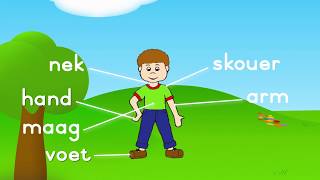 Fun and Easy Afrikaans Lesson: Learn Body Parts Vocabulary for Grade 1