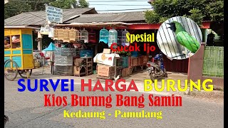 SURVEI HARGA BURUNG DI KIOS BURUNG BANG SAMIN KEDAUNG PAMULANG, SPESIAL CUCAK IJO By HoBi ID