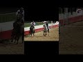 Turno 70 - Ricardo Navarrete. LATINO AMERICANO DE COLEO EDICION 2026 / Dia 1 #kalutv