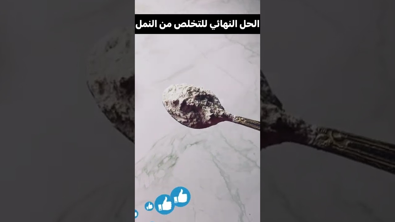 يلا خبر  | معلقة سحرية للتخلص النهائي من النمل🐜🐜