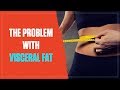 The Big Problem With Visceral Fat (and How to Lose It) (2017)