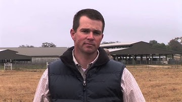 Jason Cleere - Preconditioning Calf Management - Condition of the Calf is Important
