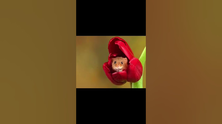 Когда узнал это?🤔