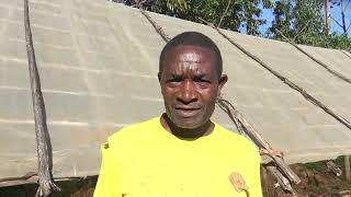 Unknown wild animal killing two goats, omonyenya village, bombaba location