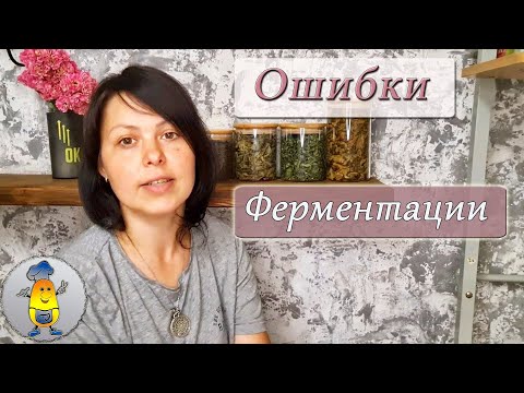 Видео: Может ли ферментация быть устойчивой?