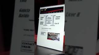 Barras H Y Animación En Colores