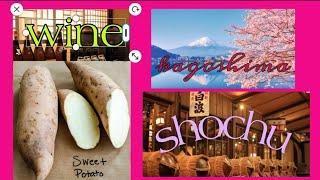 #sweetpotato #wine #shochu,  Japanese vodka#pinayfarmer #jobinjapan