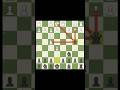 BEST Chess Trap OPENING ‼️ #chess #shorts #chessopenings #checkmate #chesstraps #chessmaster