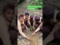 Mission Green Earth Campaign Sustainable farming #viralshort #shortfeed #shorts#shortvideo #trees