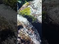 A cinematic moment of peaceful river and waterfall sounds