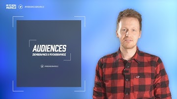 Audiences (Demographics & Psychographics) - Mr B