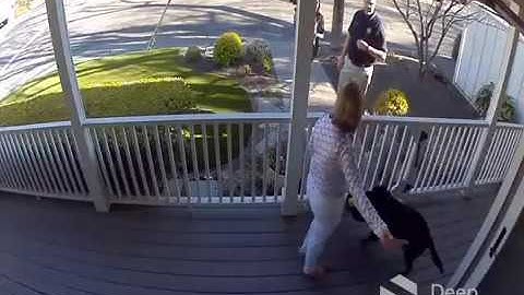 STOPPED by Deep Sentinel #7: Preventing Break-Ins & Graffiti Vandalism