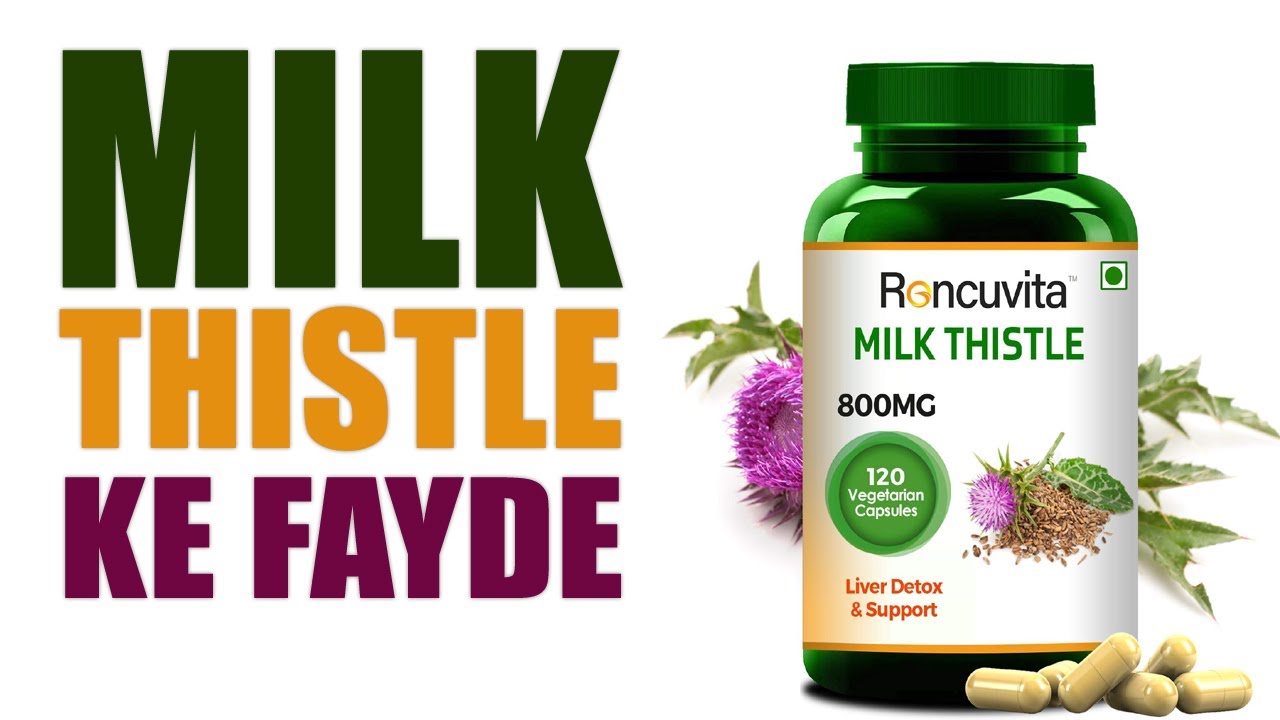 Milk Thistle ke Fayde Benefits and Side Effects of Milk Thistle for