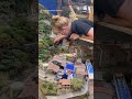 Miniature enthusiasts, you have got to visit this place!