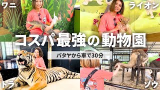 A paradise where you can touch various animals in Thailand! Visit Siri park & zoo and Tigertopia by TOTTO channel | トットチャンネル 646 views 2 weeks ago 31 minutes