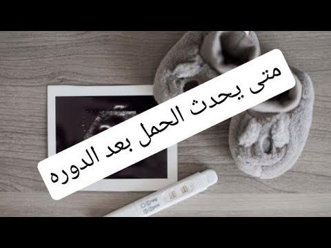 فيديو: في أي يوم بعد الحيض يكون الحمل ممكنًا؟