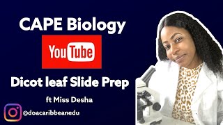 Celebrity Preparing a microscope slide: Dicotyledonous leaf (CAPE Biology Unit II) Wealth