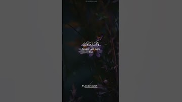 #القران_الكريم #اذكروا_الله #سبحان_الله #اجمل #تلاوة_خاشعة #ماشاءالله