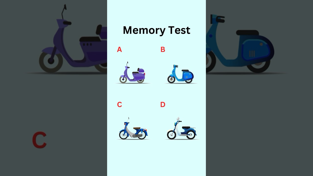 MEMORIZED! Memory Test em COQUINHOS