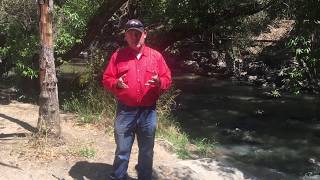 Killroy Pest Control Steve@Killroy Bug of the month Rhino Beetle
