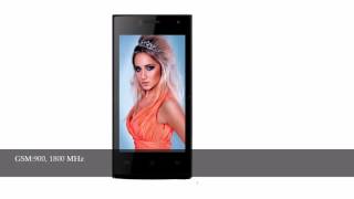 Celkon Campus Crown Q40