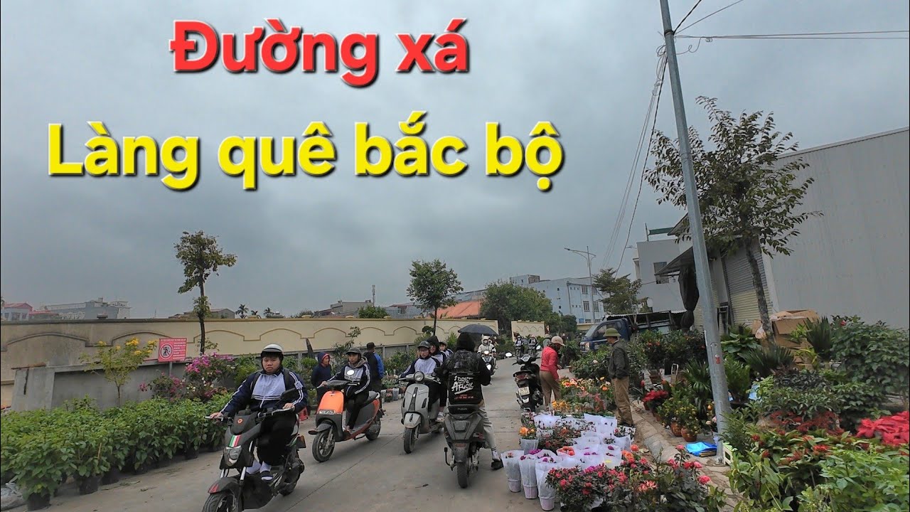 Làng quê bắc bộ đường xá đến nhà cửa đều rất đẹp