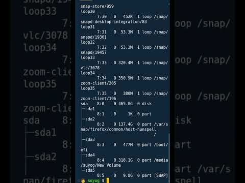 lsblk command in