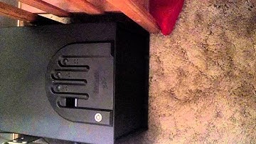 Gun Vault Biomeric Safe