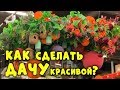 КАК СДЕЛАТЬ ДАЧУ КРАСИВОЙ