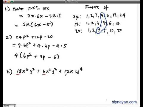 Common Monomial Factor Worksheets With Answers