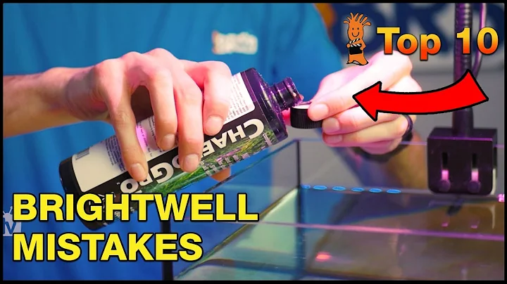 Lessons We've Learned Using Brightwell Aquatics To...