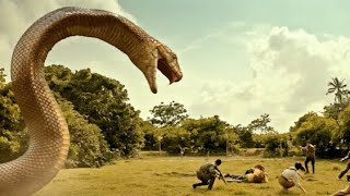 【FULL】恐龙复活！远古眼镜蛇王VS恐龙，谁才是侏罗纪霸主？！|【復活侏羅紀 Jurassic Revival】|冒險/災難|【電影派對】