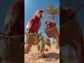 तोता और उसके बच्चे की कहानी #trendingshorts #aivideo #youtubeshorts
