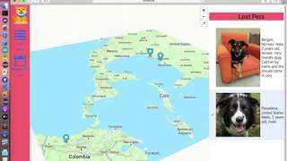 Demo StrayPet With Vaadin and Mapbox (No Sound)